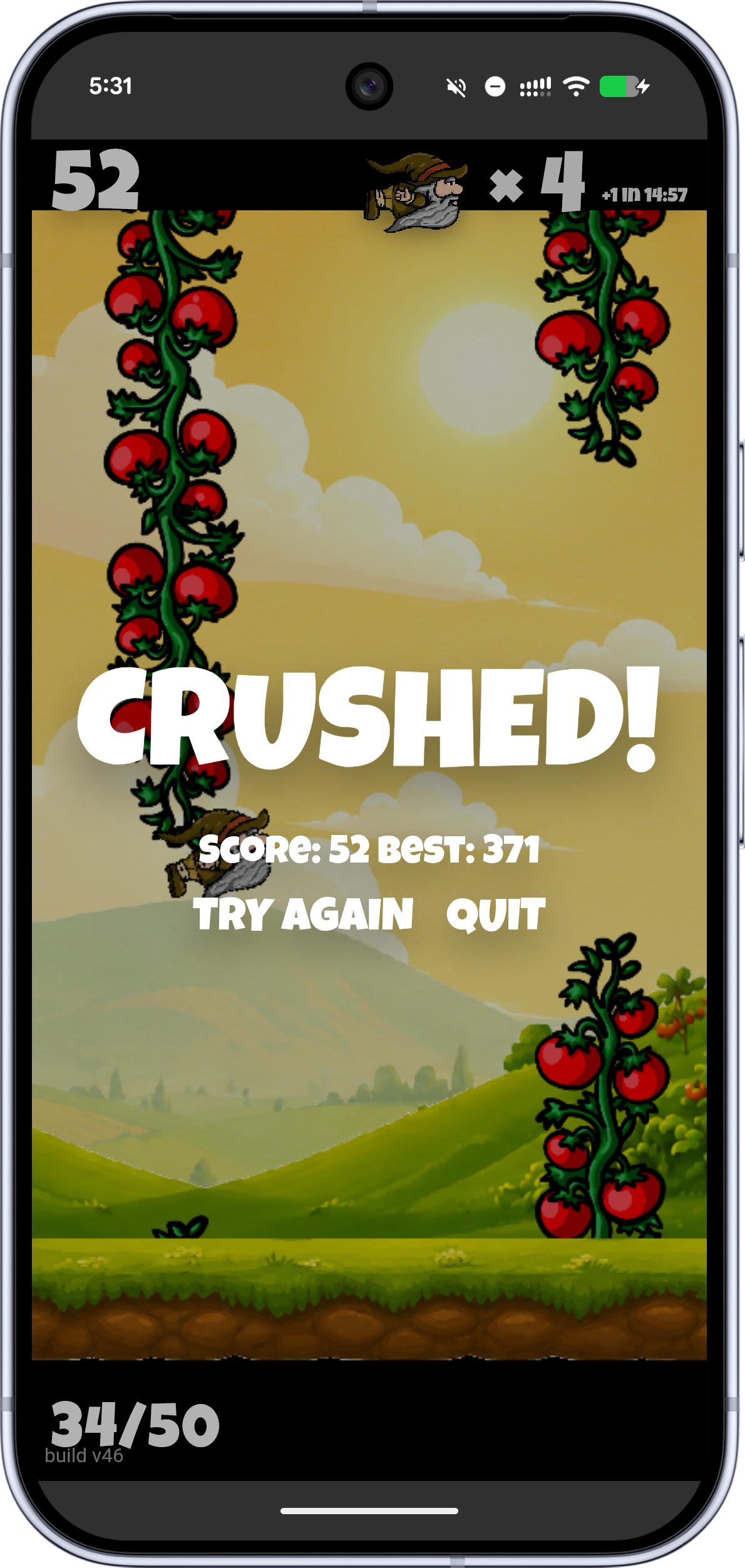 Flappy Gnome crash screen