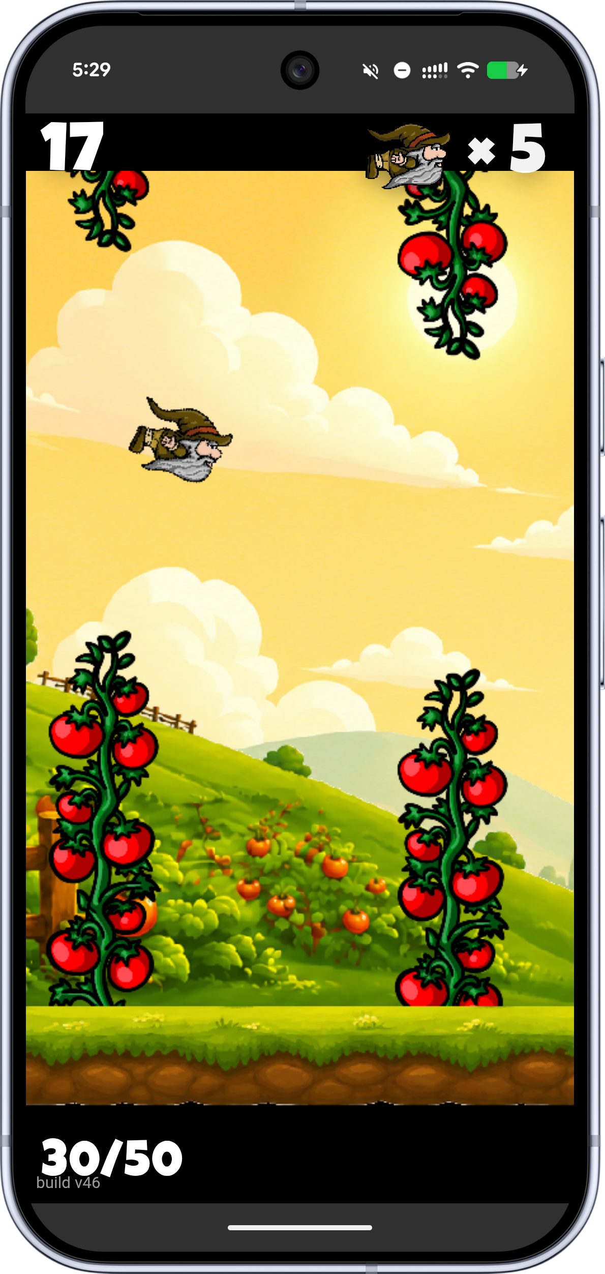 Flappy Gnome gameplay — tomato valley